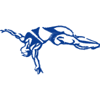 Dog Animals Dog Animals