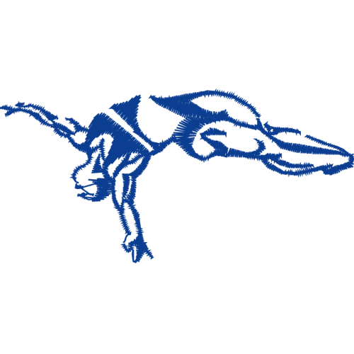 Dog Animals Dog Animals