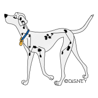 Dog Animals Dog Animals