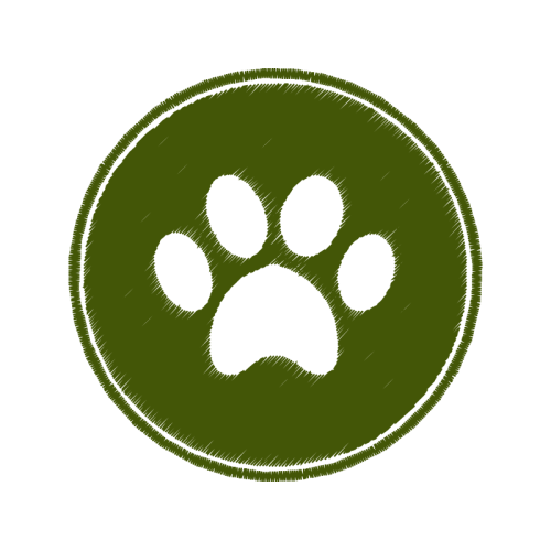 Dog Animals Dog Animals