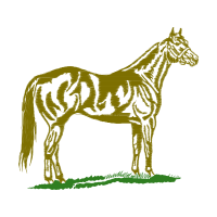 Dog Animals Dog Animals