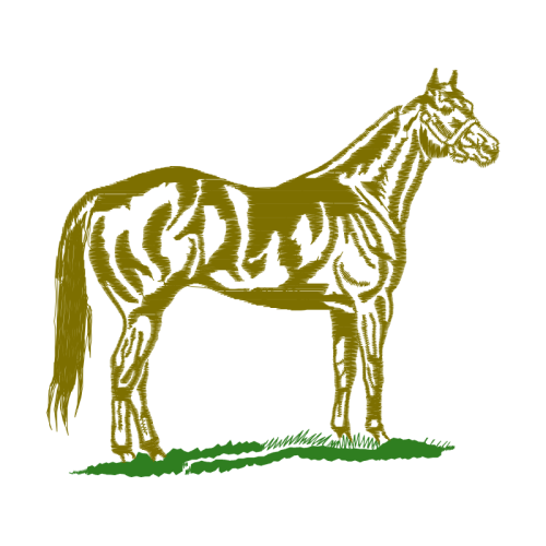 Dog Animals Dog Animals