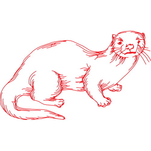 Dog Animals Dog Animals