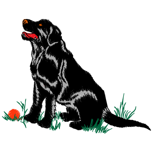 Dog Animals Dog Animals