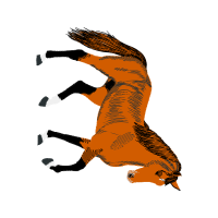 Dog Animals Dog Animals