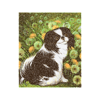 Dog Animals Dog Animals