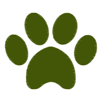 Dog Animals Dog Animals