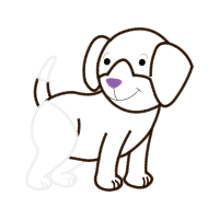 Dog Animals Dog Animals