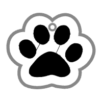 Dog Animals Dog Animals