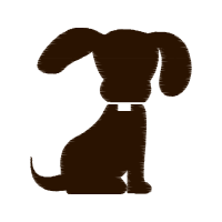 Dog Animals Dog Animals