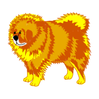 Dog Animals Dog Animals