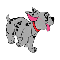 Dog Animals Dog Animals