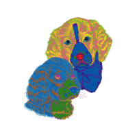 Dog Animals Dog Animals