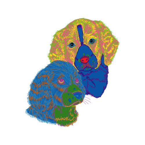 Dog Animals Dog Animals