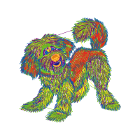 Dog Animals Dog Animals