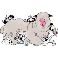 Dog Animals Dog Animals