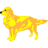 Dog Animals Dog Animals