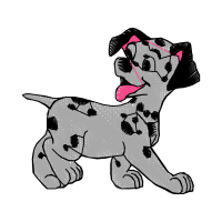 Dog Animals Dog Animals