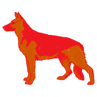 Dog Animals Dog Animals