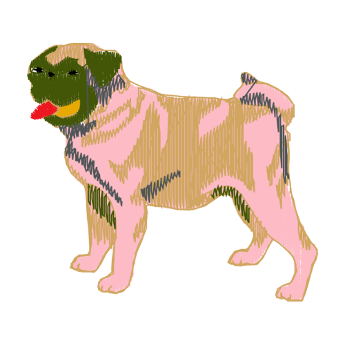 Dog Animals Dog Animals