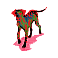 Dog Animals Dog Animals