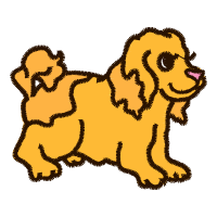 Dog Animals Dog Animals