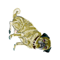 Dog Animals Dog Animals