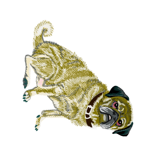 Dog Animals Dog Animals