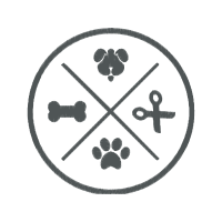 Dog Animals Dog Animals