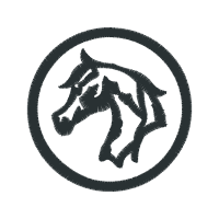 Dog Animals Dog Animals