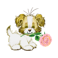 Dog Animals Dog Animals