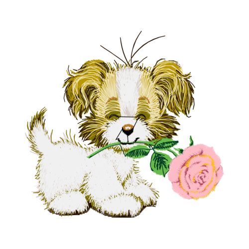 Dog Animals Dog Animals