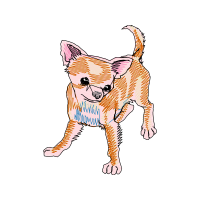 Dog Animals Dog Animals