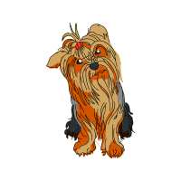 Dog Animals Dog Animals