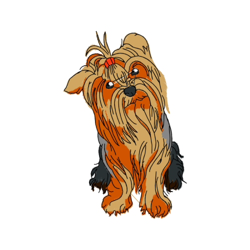 Dog Animals Dog Animals