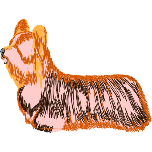 Dog Animals Dog Animals