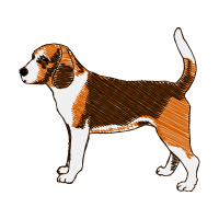 Dog Animals Dog Animals