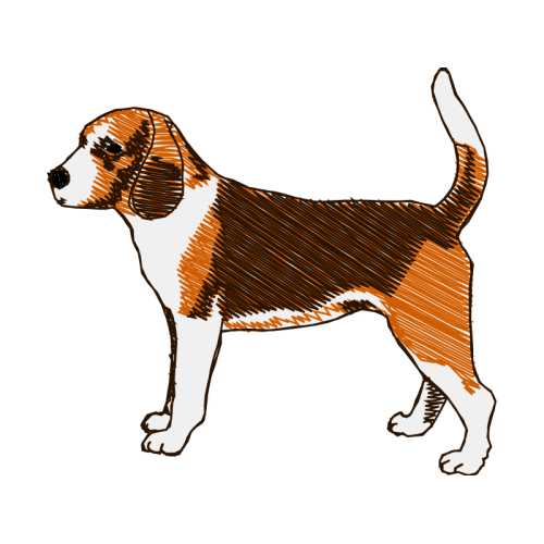 Dog Animals Dog Animals