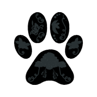 Dog Animals Dog Animals