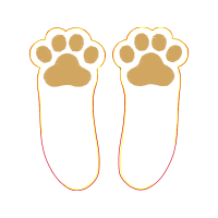 Dog Animals Dog Animals