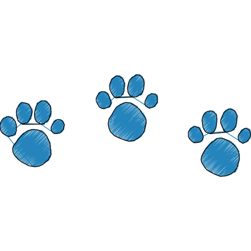 Dog Animals Dog Animals