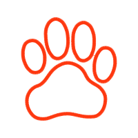 Dog Animals Dog Animals