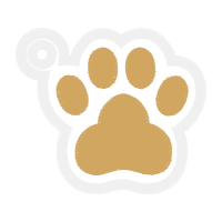 Dog Animals Dog Animals