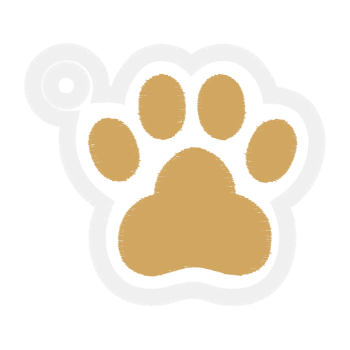 Dog Animals Dog Animals