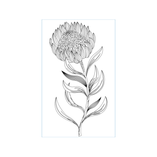 Dog Animals Dog Animals