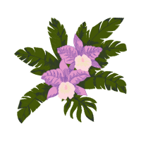 Dog Rose Animals Dog Rose Animals