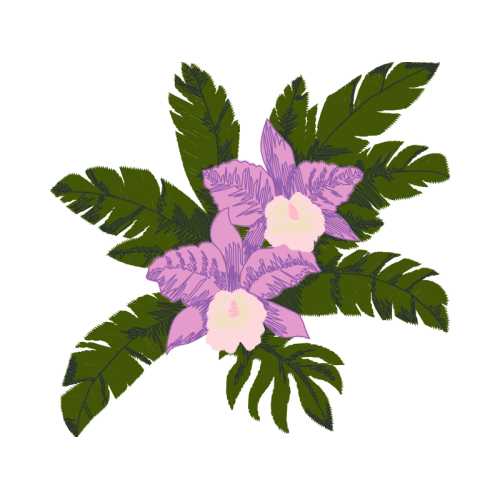 Dog Rose Animals Dog Rose Animals