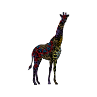 Dog Animals Dog Animals