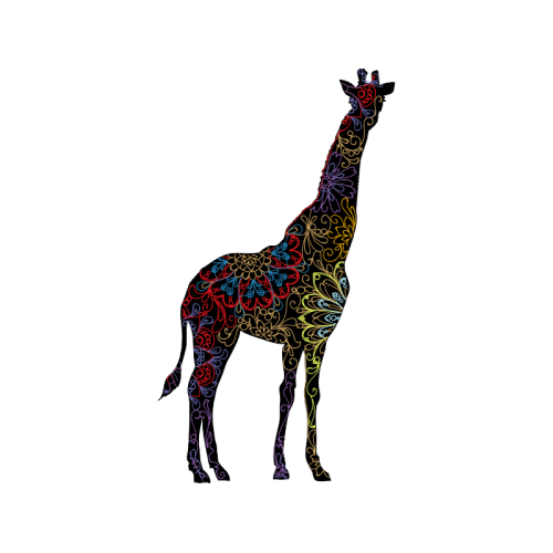 Dog Animals Dog Animals