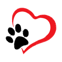 Dog Animals Dog Animals